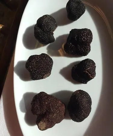فندق Cotiella كامبو